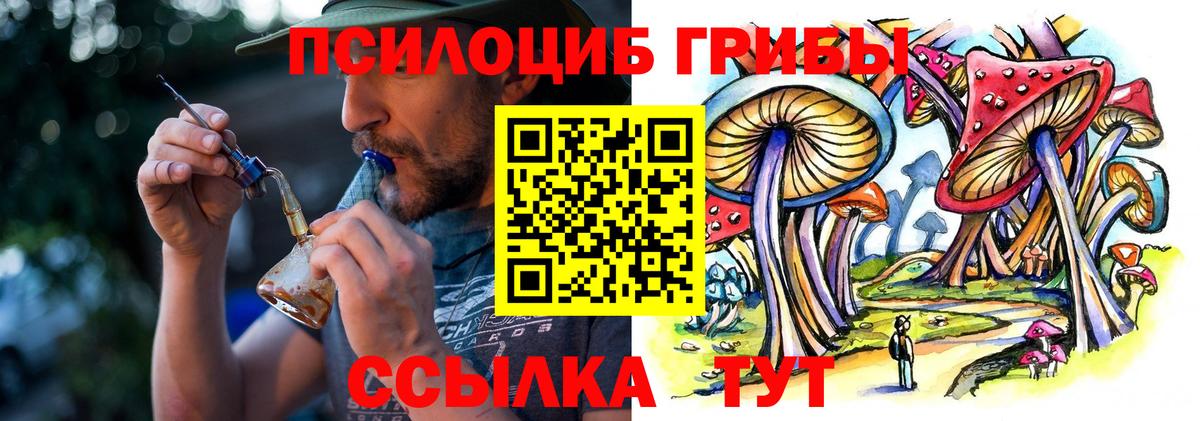 Мытищи  купить наркотик  Вход с VPN  Псилоцибиновые грибы Cubensis  Псилоцибиновые грибы мухоморы 
