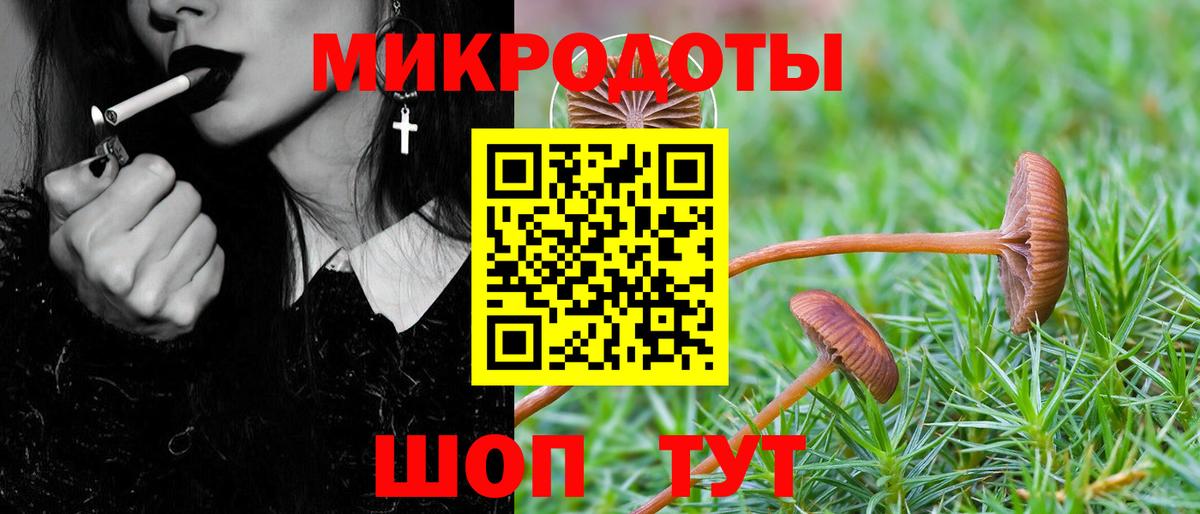 Псилоцибиновые грибы мицелий Мытищи